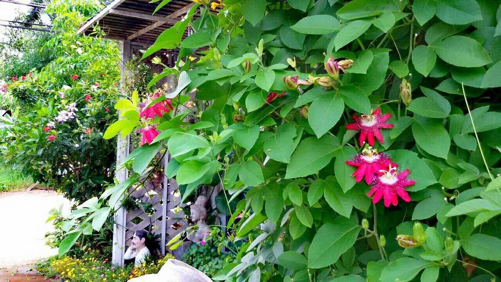 Lampang Lanna Home Ngoại thất bức ảnh